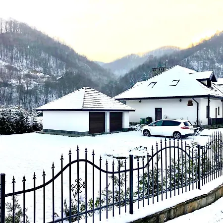 Jagoda Duzy W Gorach 12-15 Osob,jacuzzi, Kominek,bilard * Zabrzez