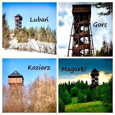 Jagoda W Gorach Zabrzez