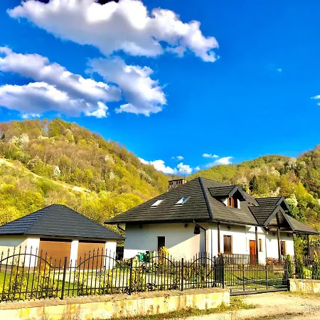 Jagoda Duzy W Gorach 12-15 Osob,jacuzzi, Kominek,bilard
