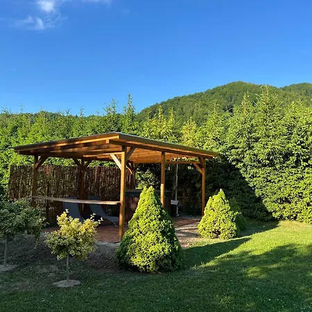 Jagoda W Gorach Zabrzez